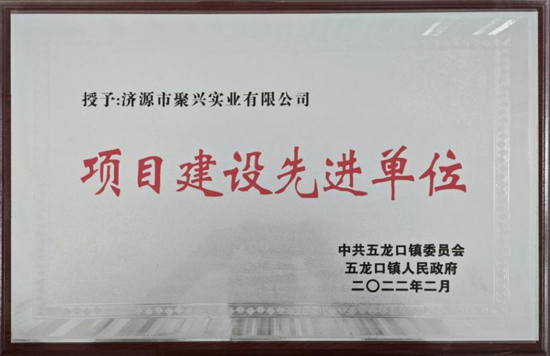 项目建设先进单位